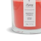 Homlov - Legacy Collection - Vela Aromática - Destello citrico